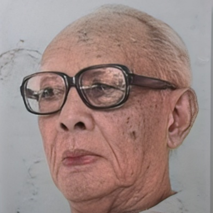 Djamaluddin Adinegoro