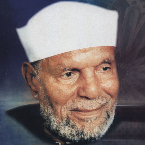Muhammad Metwalli al-Sha,rawi