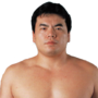 Mitsuharu Misawa